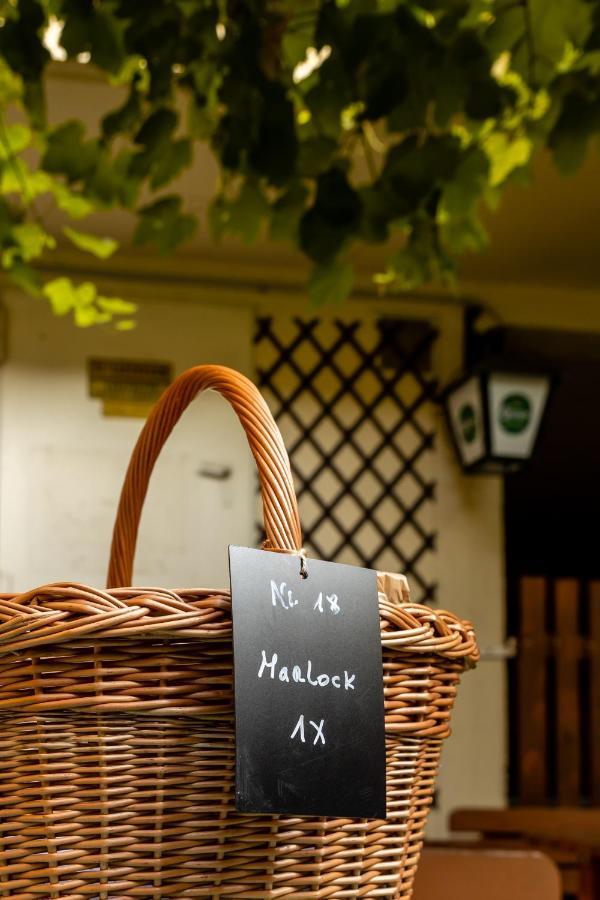 Bed and Breakfast Grüner Baum Wachau Mautern Exterior foto